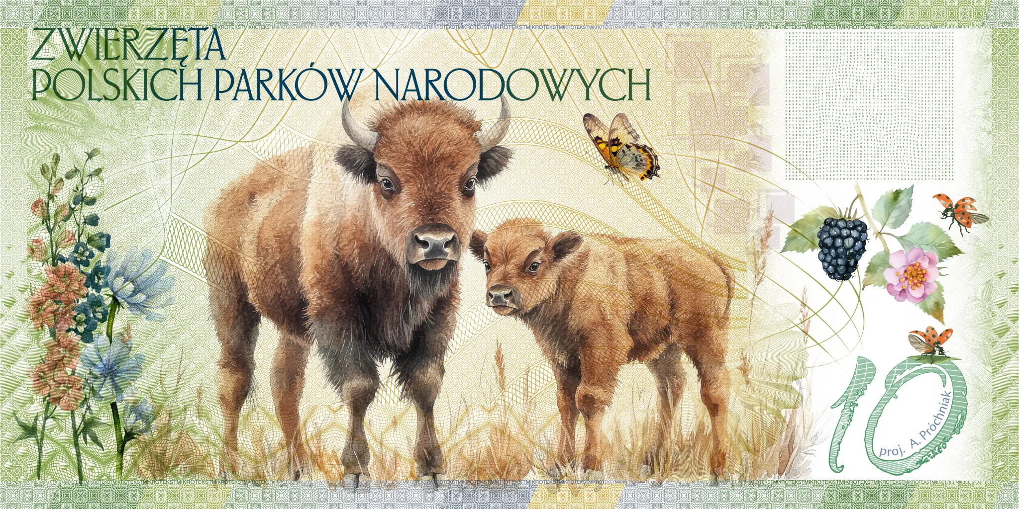 Żubr europejski — rewers bonu 10